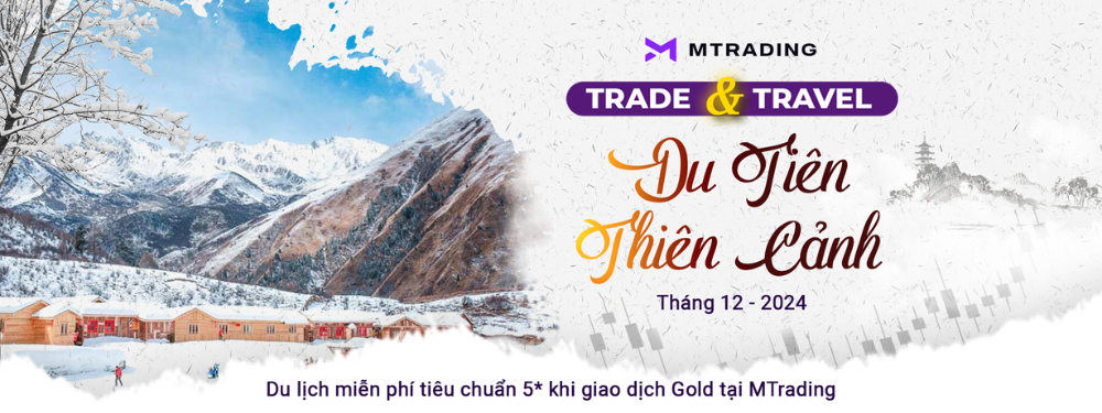 Các quy định của sàn MTrading