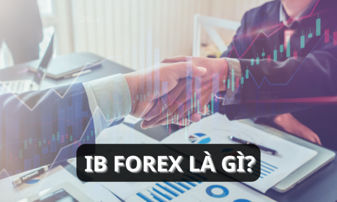 IB Forex là gì